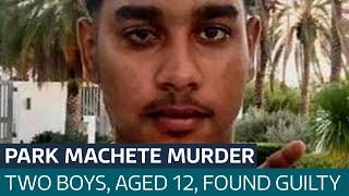 Shawn Seesahai: Two 12-year-old boys found guilty of murdering teenager in park with machete