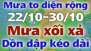 Tin mưa lớn | Dự báo thời tiết mới nhất ngày mai 22/10/2024 | thời tiết 7 ngày tới | tin bão