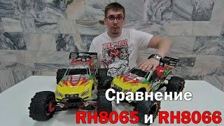 Чем отличается бесколлекторный Remo Hobby EVO-R RH8065 от RH8066