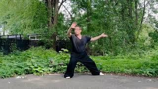 My Casual Practice (11) : Some Xing Yi-Ba Gua-Palm Movements