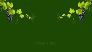 Waving grape wine animation | Green Screen Grape  | Grape Wine Blue Screen Video | Grape Leaves