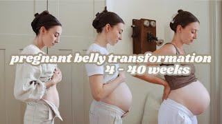 Pregnant Belly Growth from 4 Weeks to 40 Weeks with Baby #4!