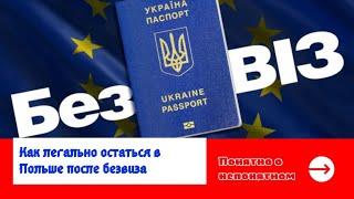 Как легально остаться в Польше после окончания безвиза? Виза в польшу 2022