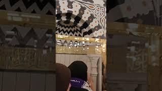 Beautiful Roza Rasool, Riaz ul Jannah Masjid e Nabwi Medina #shorts #viralvideo umrah December