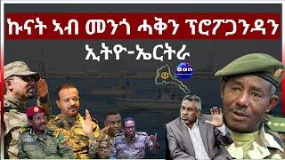 ኩናት ኣብ መንጎ ሓቅን ፕሮፖጋንዳን #Eritrea #AANMEDIA  #ERIDRONAWI  #Ethiopia #Sudan