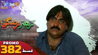Zahar Zindagi - Ep 382 Promo | Sindh TV Soap Serial | SindhTVHD Drama