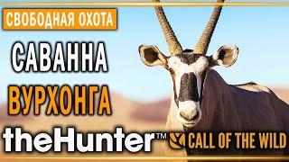 theHunter Call of the Wild #9  - Саванна Вурхонга (часть 3) - Свободная Охота