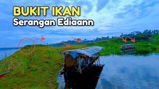 CUACA EXTREME IKAN MABUK !! SPOT MANCING INI SOLUSINYA SEMUA JORAN DI SERANG HABIS"AN