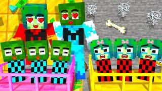 Monster School : Zombie x Squid Game Family Sisters vs Brothers - Minecraft Animation