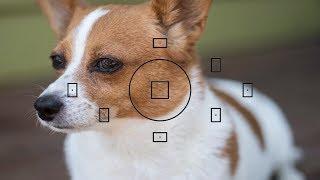 How to control the focus points on a NIKON & CANON DSLR.