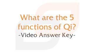 What are the 5 Functions of Qi?