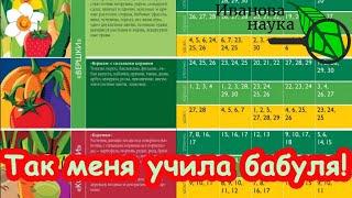 С ЯНВАРЯ ПО МАЙ: сею в эти посадочные дни и всё растет замечательно! Все друзья и знакомые тоже!