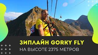 Зиплайн в Красной Поляне - Gorky Fly Zipline