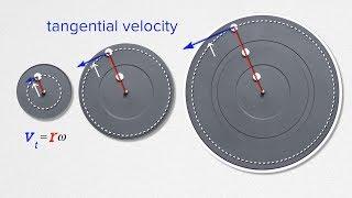 Introductory Tangential Velocity Problem - Mints on a Turntable