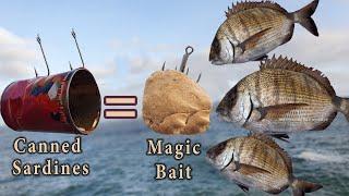 How To Make Magic Bait (Less Than 1$) With Canned Sardines - #Catch-More-Fish
