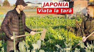 TAXE mai MICI ca in Romania - VIATA la TARA in Japonia, REALITATEA!