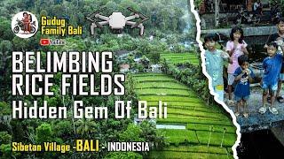 Permata Tersembunyi Sawah Belimbing Desa Sibetan Bali | Relaksasi Musik | Keindahan Bali | Drone Dji