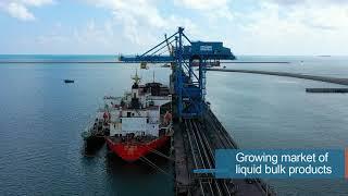 Bulk Cargo Transportation - Focus on Liquid Cargo - Maritime India Summit 03.03.2021