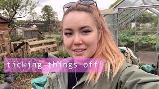 1 Hour on the Plot | Allotment Vlog Ep.14