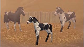 How To Get Horse Babies In Westland Survival For Free