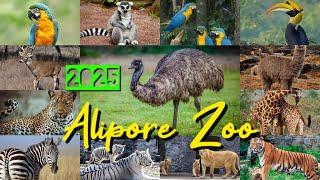 Alipore Zoo Kolkata 2025 | Alipur Zoo Ticket Price | Kolkata Chiriakhana New Update | Kolkata Zoo