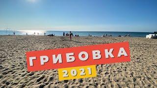 Грибовка 2021 - отличное место для отдыха. Широкий пляж. Жилье, цены. База отдыха Валентина.