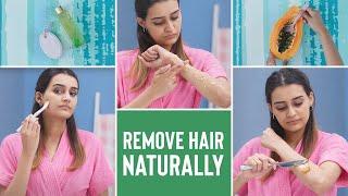 These NATURAL METHODS Will Get Rid Of FACIAL, BODY And BIKINI LINE HAIR!