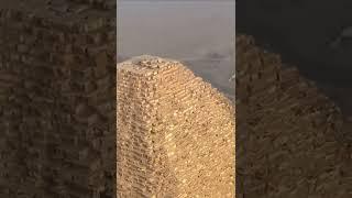 Wait A Minute: Dog Spotted Hanging Out On Top Of A Pyramid!