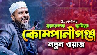 কোম্পানীগঞ্জ মুরাদনগর মোশতাক ফয়েজী নতুন ওয়াজ | Mostak Foyezi Waz | mostak fooji waz | Mostak Faizi