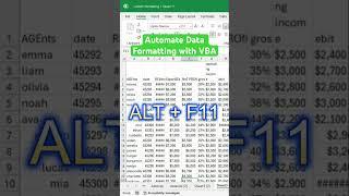 Automate Data Formatting in Excel with VBA