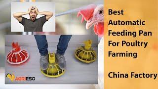 Best Feeding Pan for Automatic Poultry Farming | China factory