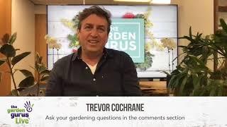 BUSH TUCKER DELIGHTS || The Garden Gurus LIVE with Marek Tucek