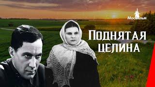 Поднятая целина / The New Land (1939) фильм смотреть онлайн