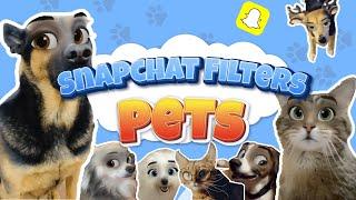 Best Snapchat Filters for Pets - Tutorial to Make Your Pet Video Funny