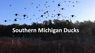 Southern Michigan Duck Hunting, Anarchist Outdoors 33