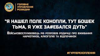 "Я НАШЕЛ ПОЛЕ КОНОПЛИ, ТУТ БОШЕК ТЬМА, Я УЖЕ ЗА*БАЛСЯ ДУТЬ"