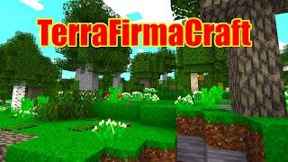 TerraFirmaCraft Mod Showcase Basics