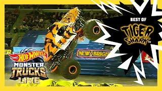 BEST OF TIGER SHARK'S CAR CRUSHING! | Monster Trucks LIVE | @HotWheels