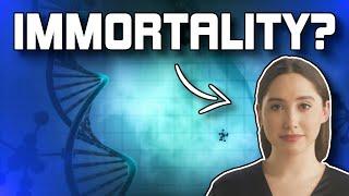 AI Explains How To Achieve Immortality (GPT-3)