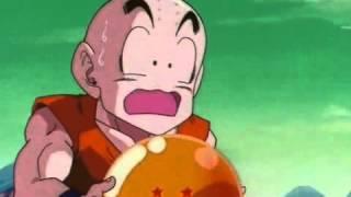 Krillin, you should keep some things to yourself...