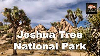 Escaping to the Serenity of Joshua Tree National Park