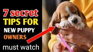 7 secret tips for New puppy Owners - new pet parents don't miss