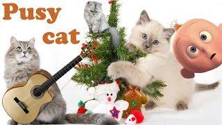 Pussy Cat Pussy Cat Where Have You Been | Rhyme for kids with lyrics | yourchannelkids