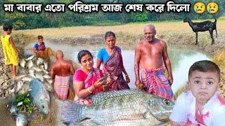 Village Life। পুকুরে বেড় জাল দিয়ে মাছ ধরলাম। I Caught Fish With A Net In The Pond। Fishing Videos