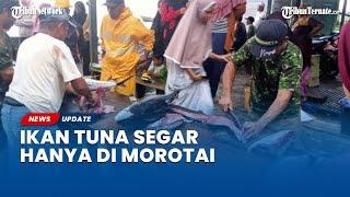 Melihat Mama-mama Antri Berjam-jam di Pasar Tradisional Morotai Demi Dapat Ikan Tuna Segar