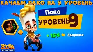 КАЧАЕМ АЛЬПАКУ ПАКО НА 9 УРОВЕНЬ + 3 СЛОТА В ИГРЕ ZOOBA