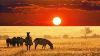 Savanna Sunset