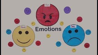 Theme Emotions:Montessori Shelf Activity (Toddlers)