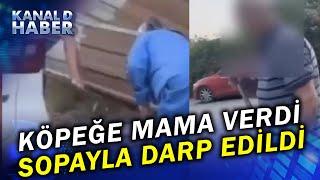 Hayvansevere Şiddet Görüntüleri! İstanbul'da Köpeğe Mama Verdi Diye Dayak Yedi!