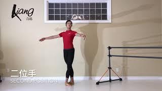 「首席Liang」芭蕾辞典 ：位 The whole world of ballet arm position